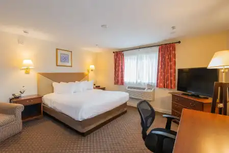 Senator Inn & Spa - 50