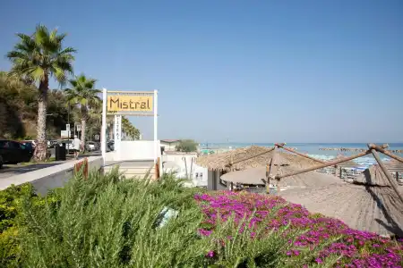 Mistral - 13