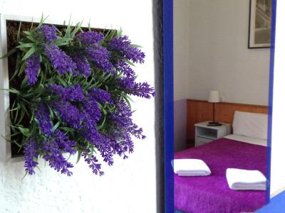 Pension Ciudadela - 3