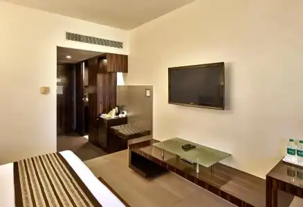 Krishna Palace - 43