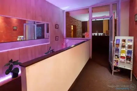 Vila Senjak - 9