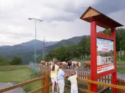 Eco Village Mojkovac - 20