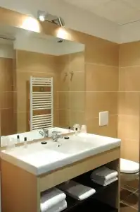 Hôtel Red Fox - 85