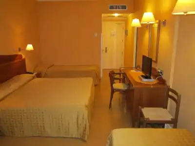 Conchiglia D'oro - 55