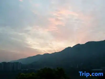 Wuyu (Chongqing Jinyun Mountain, Southwest University) - 40