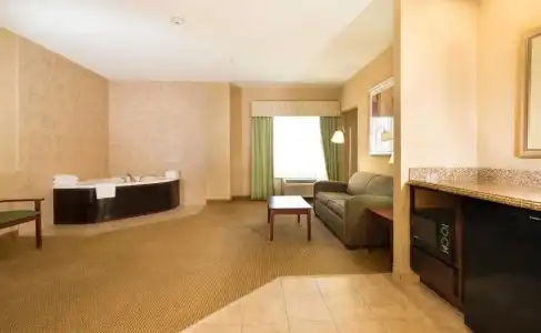 Hampton Inn & Suites Abilene I-20 - 52