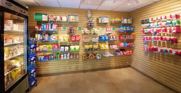 Holiday Inn & Suites Chicago - Downtown by IHG - 11