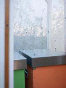 Imago - 28
