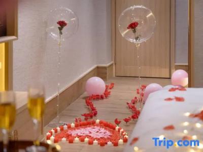 Hôtel Ibis Toulouse Purpan - 71