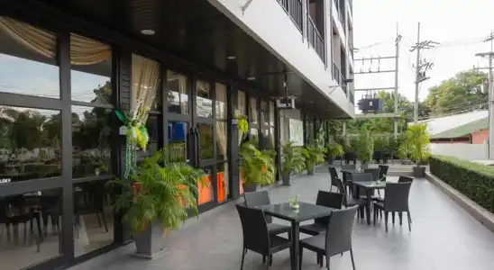 Essential Pattaya - 17