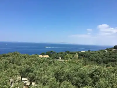 Dania - 50