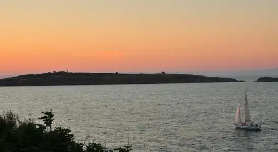 Deep Blue Guest House - 11