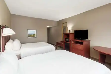 Hampton Inn Branson - Branson Hills - 52