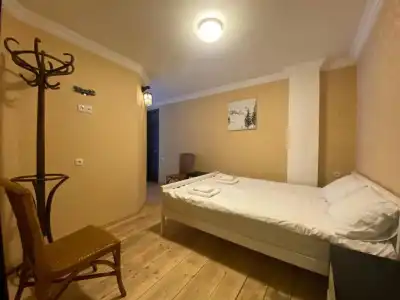 ArtVilla Bakuriani - 1
