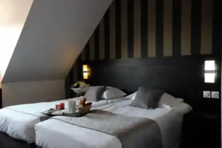 Hôtel Red Fox - 46