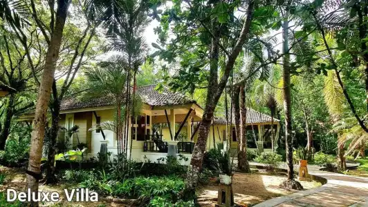 Baan Khaolak Beach Resort (SHA Plus+) - 165