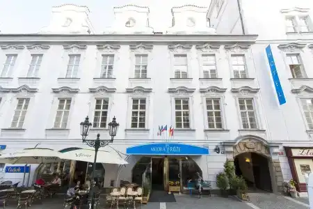 Modrá Ruže - 0