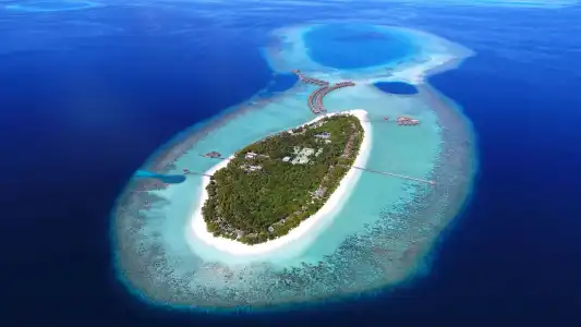 Vakkaru Maldives - 43