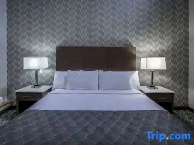 Monte Carlo Inn Toronto - Markham - 52