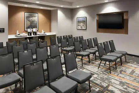 Hampton Inn & Suites Phoenix Downtown - 23