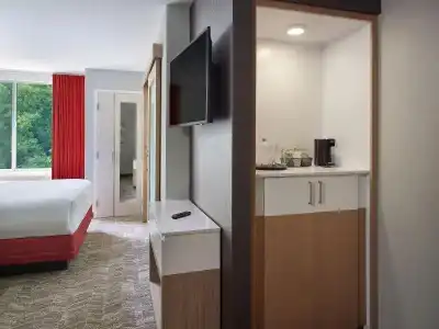 SpringHill Suites by Marriott Atlanta Northwest - 41