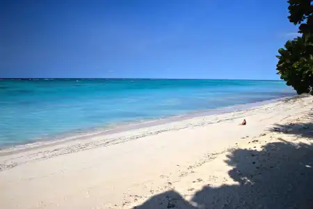 Sazani Beach Lodge and Tidal Lounge - 8