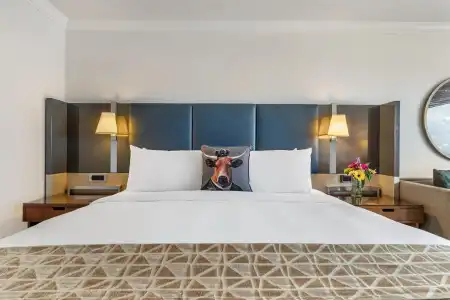 The Royal Sonesta Houston Galleria - 32