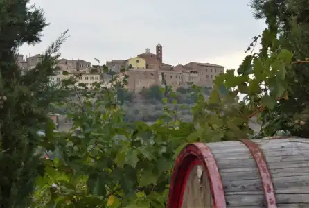 Agriturismo La Pietriccia - 82