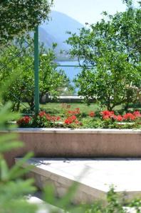 J&P Apartments Orahovac - 169