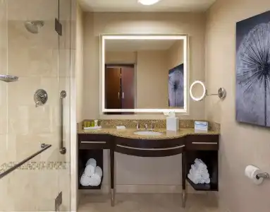 Hilton Americas - - 31