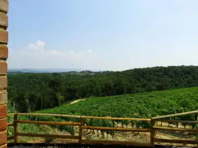 Agriturismo Montegonfoli - 45