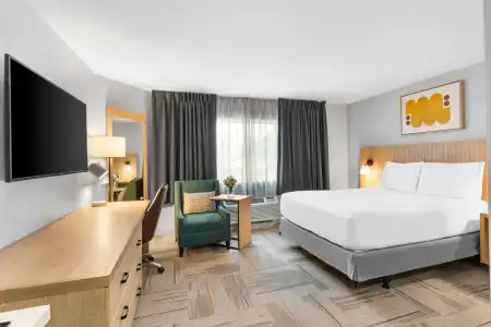 Sonesta Simply Suites Austin South - 34