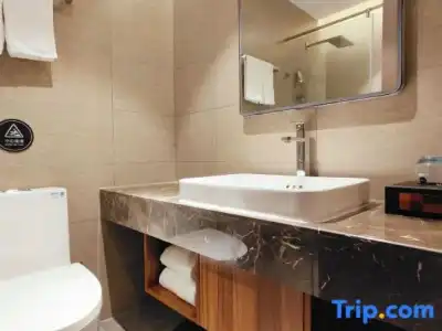 Hôtel Inn Dijon-Quetigny - 58