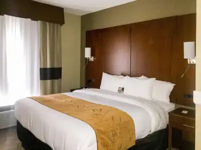 Comfort Suites University - 5