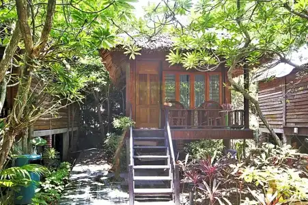 Monkey Island Resort - 72