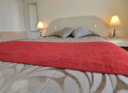 Brougham Heights Motel - 2