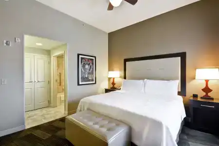 Homewood Suites by Hilton Nashville Vanderbilt, TN - 5