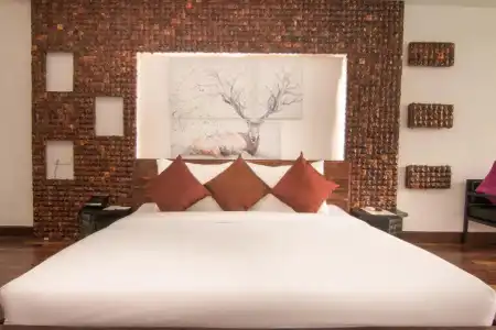 Elysium Suite - 70