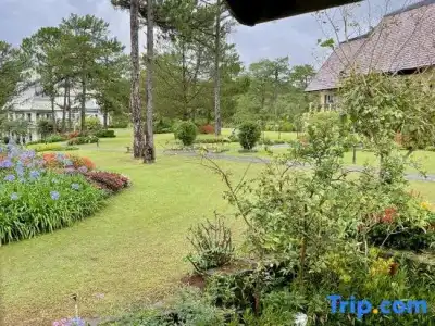 Binh An Village Dalat Resort - 145