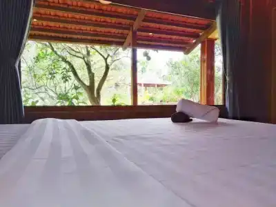Phu Quoc Pomelo Garden - 28