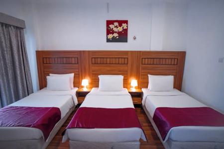 Mercure Luxor Karnak - 80