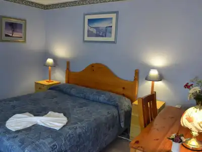 Palms Bed & Breakfast - 24