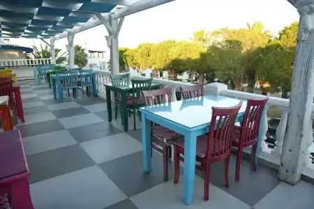 Bahama Art - 22