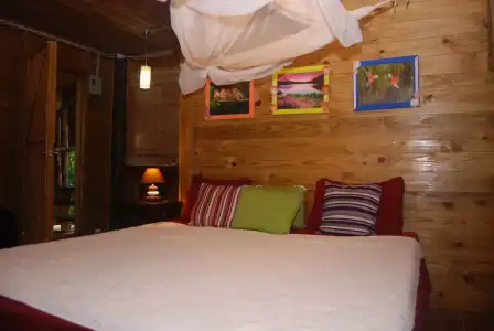 Cabarete Boutique Ecolodge Beachfront - 2