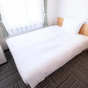 Toyoko Inn Hokkaido Sapporo Susukino Kosaten - 44