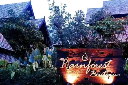 Rainforest Chiangmai - 0
