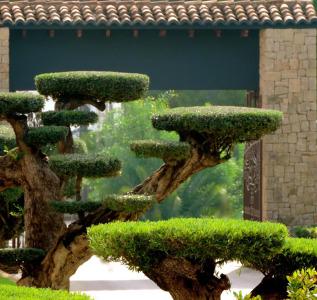 Swiss Moraira & Spa - Designed for Adults - 21