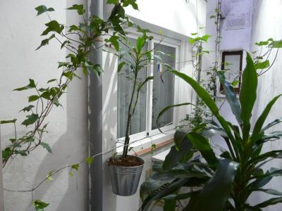 Alexandra Sitges - 18