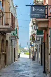 Domatia - 52