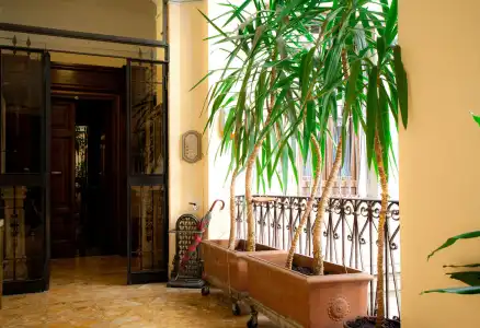 Guesthouse Borromeo Roma - 10